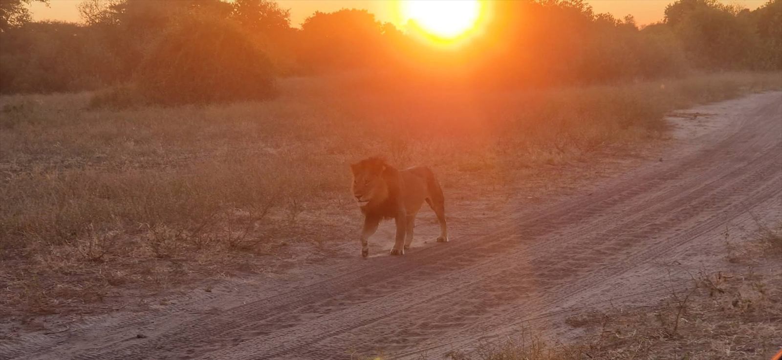 Titulní fotografie ke článku Botswana, JAR, Namibie, Zimbabwe – červen 2025, den 5