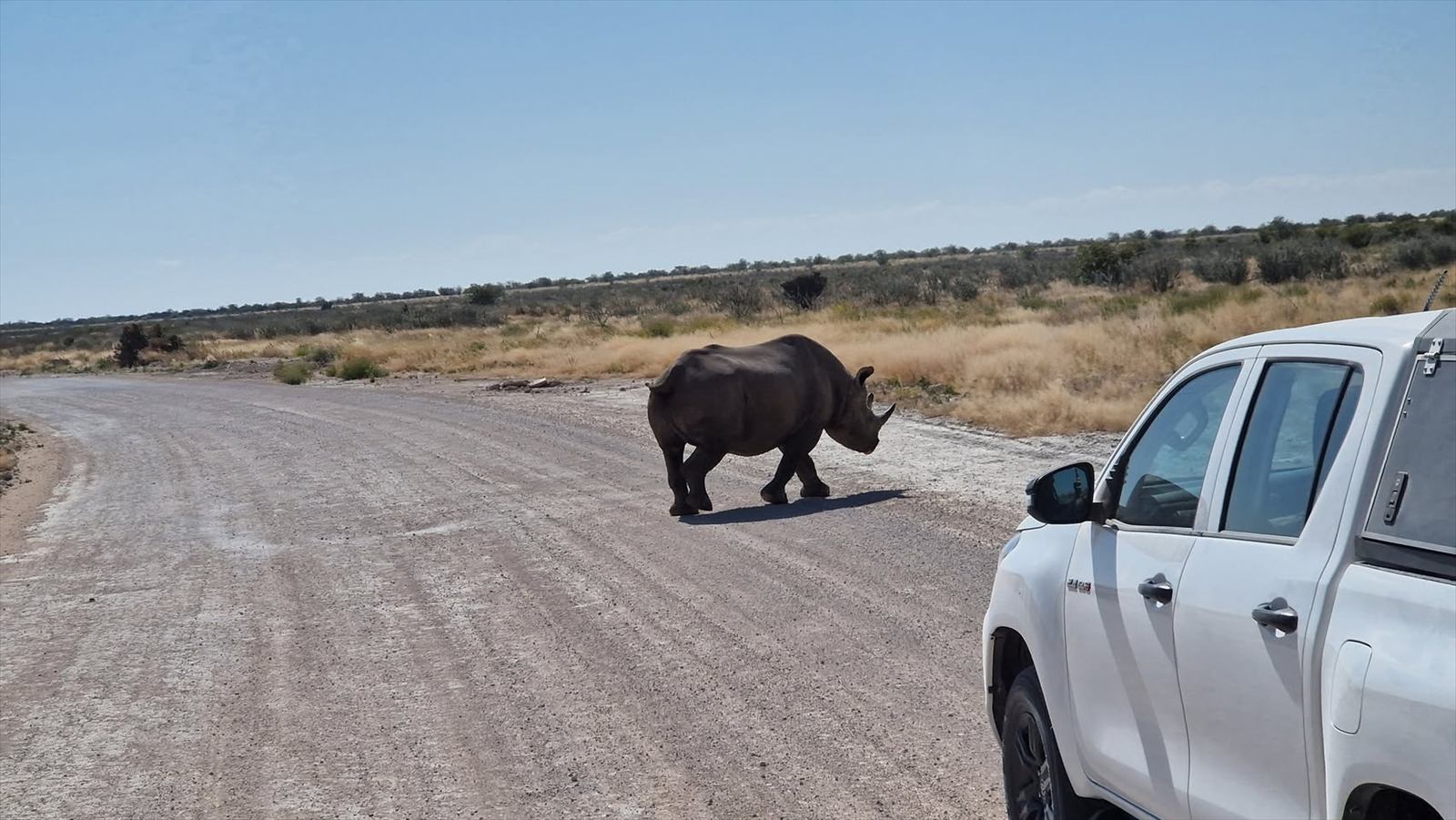 Titulní fotografie ke článku Botswana, JAR, Namibie, Zimbabwe – červen 2025, den 8–9